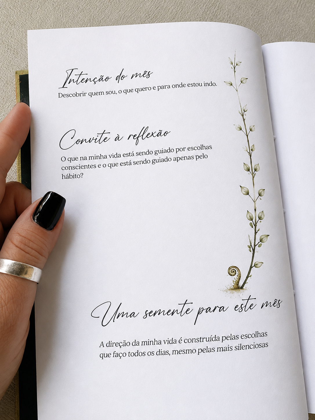 3 anos_ (6)