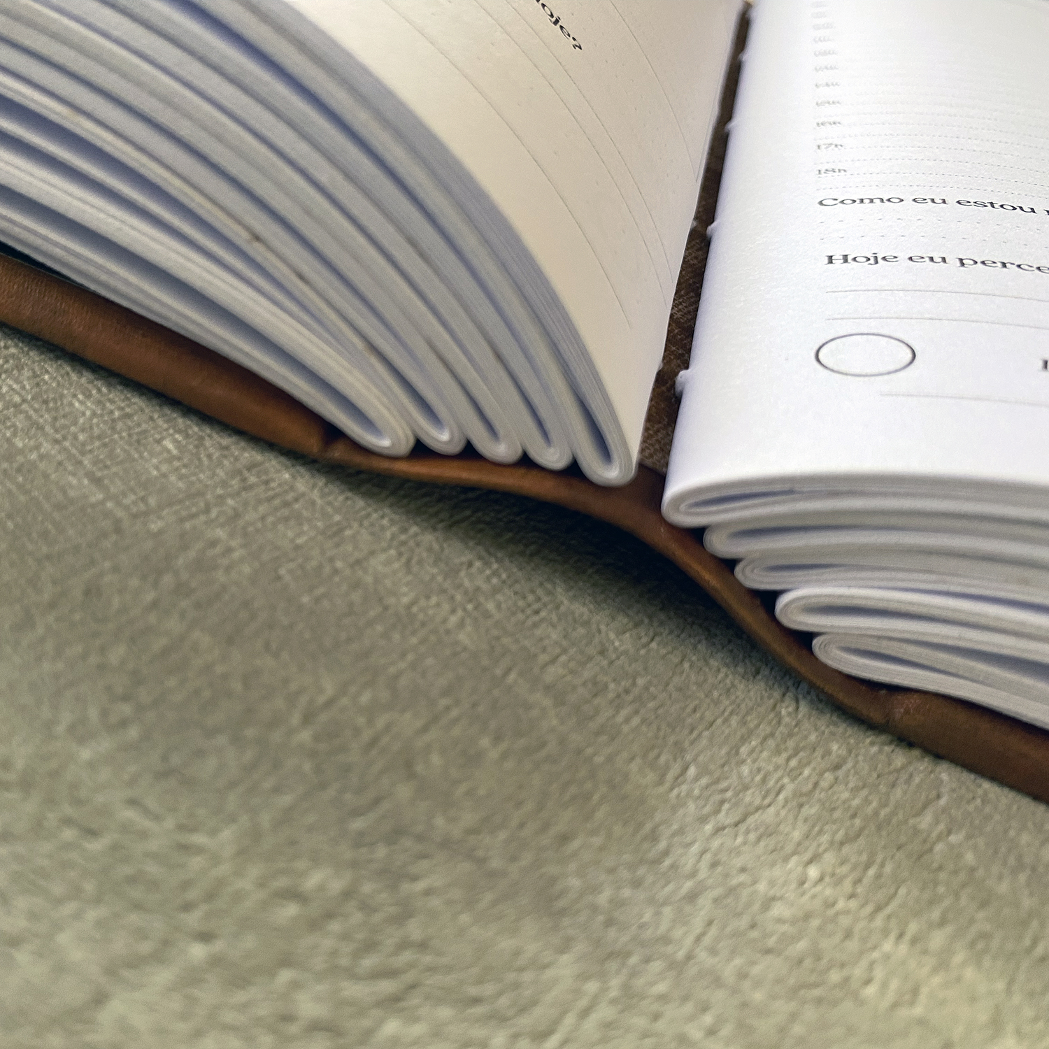 Miolo Planner (1)