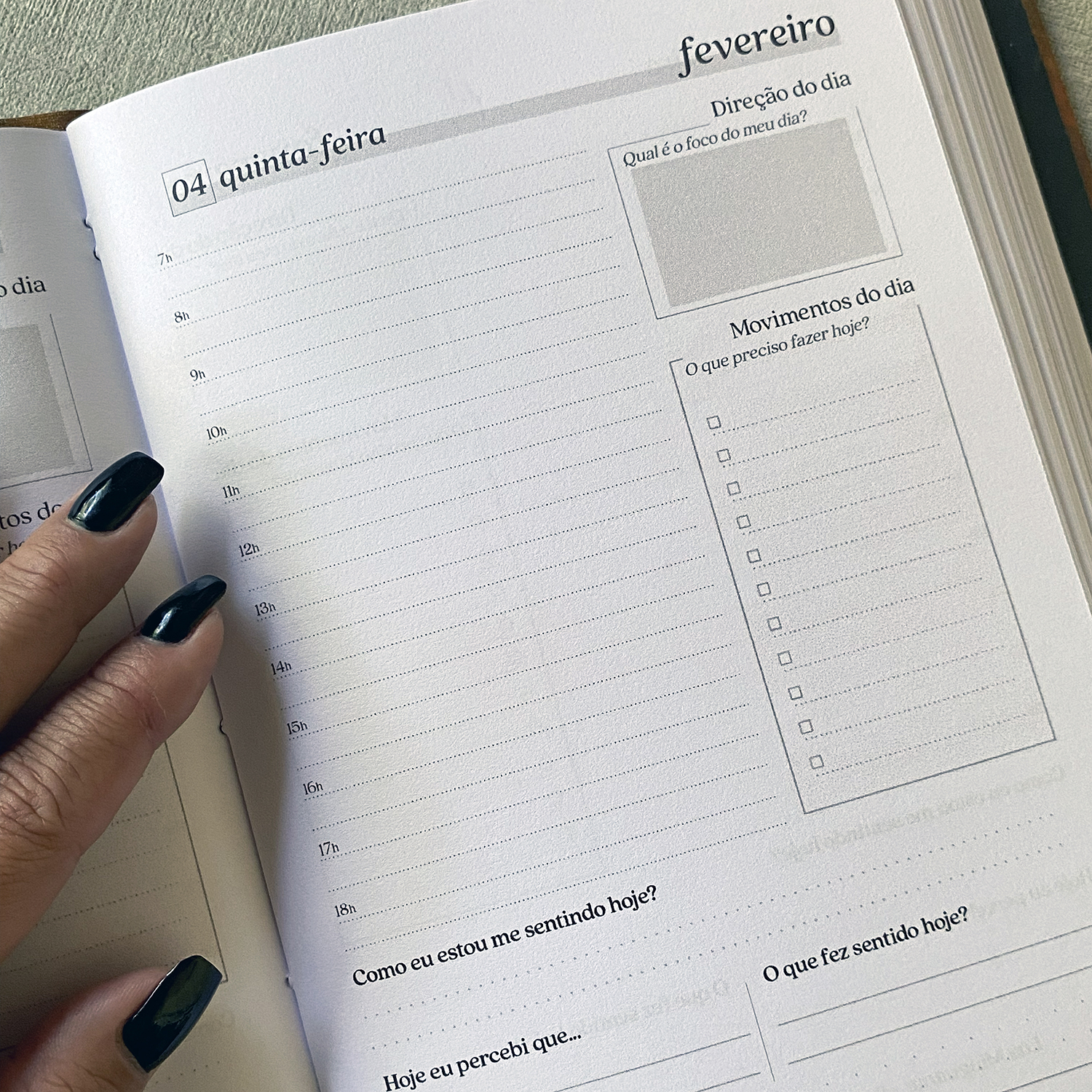 Miolo Planner (14)