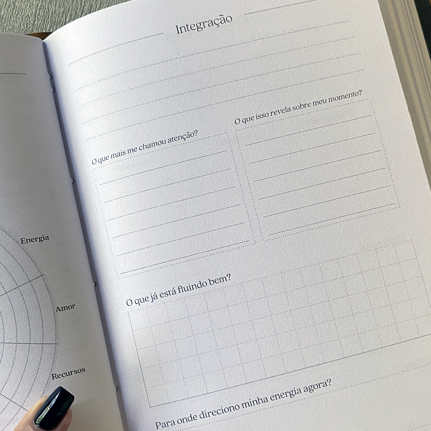 Miolo Planner (19)