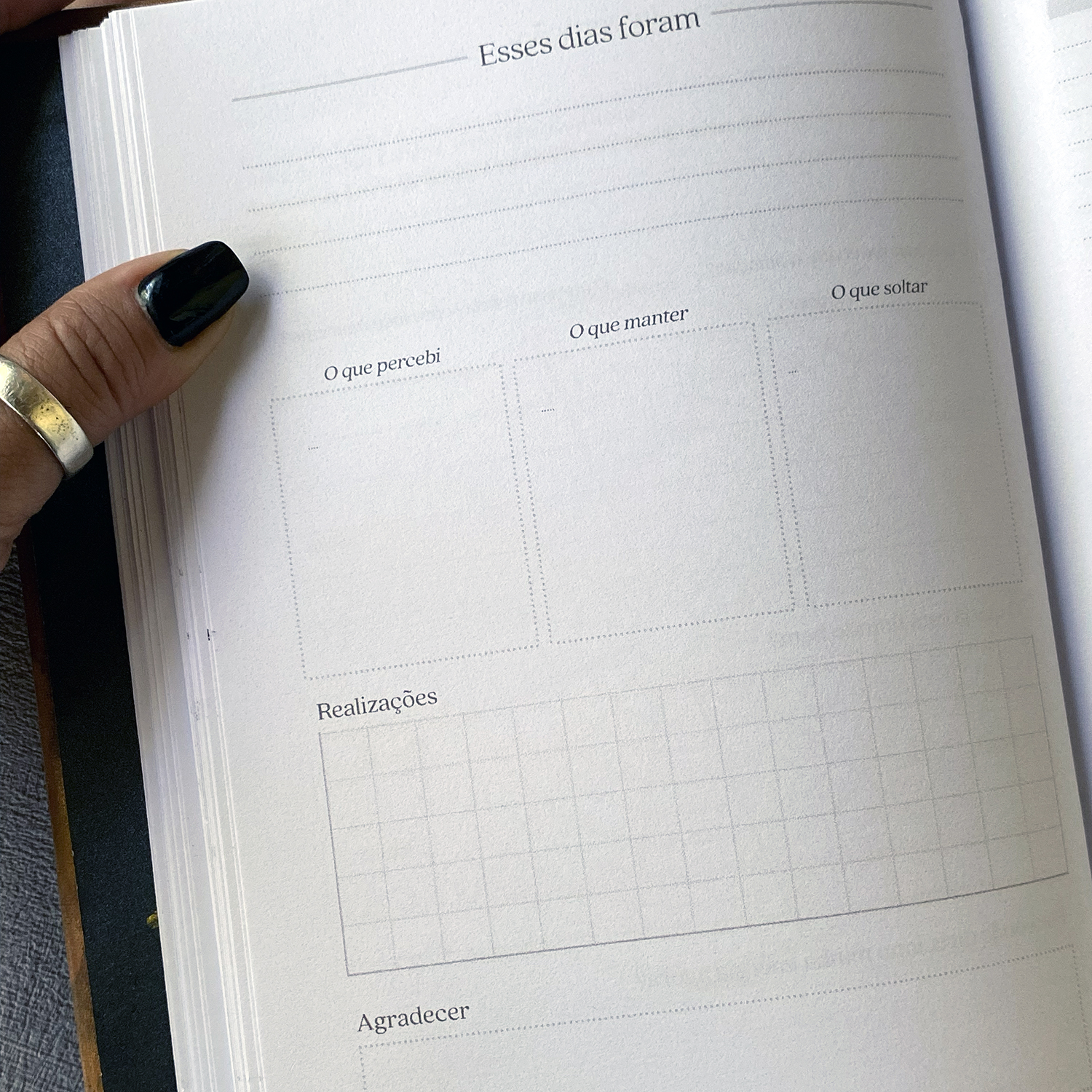 Miolo Planner (20)